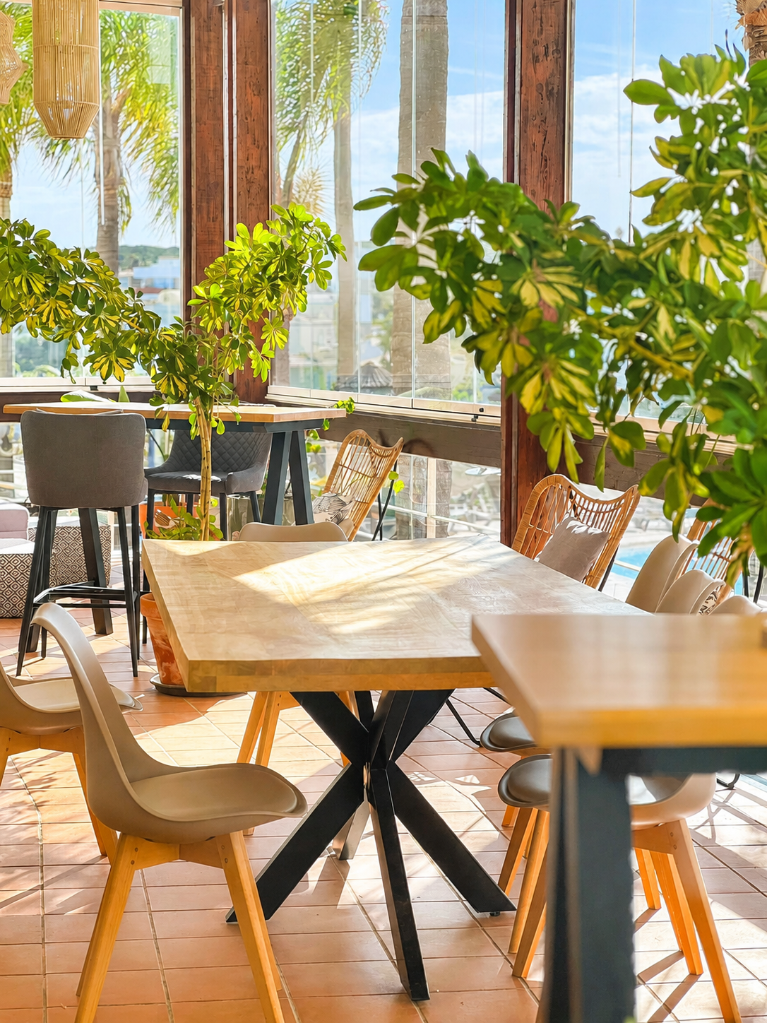 Sunlit coffee tables among plants