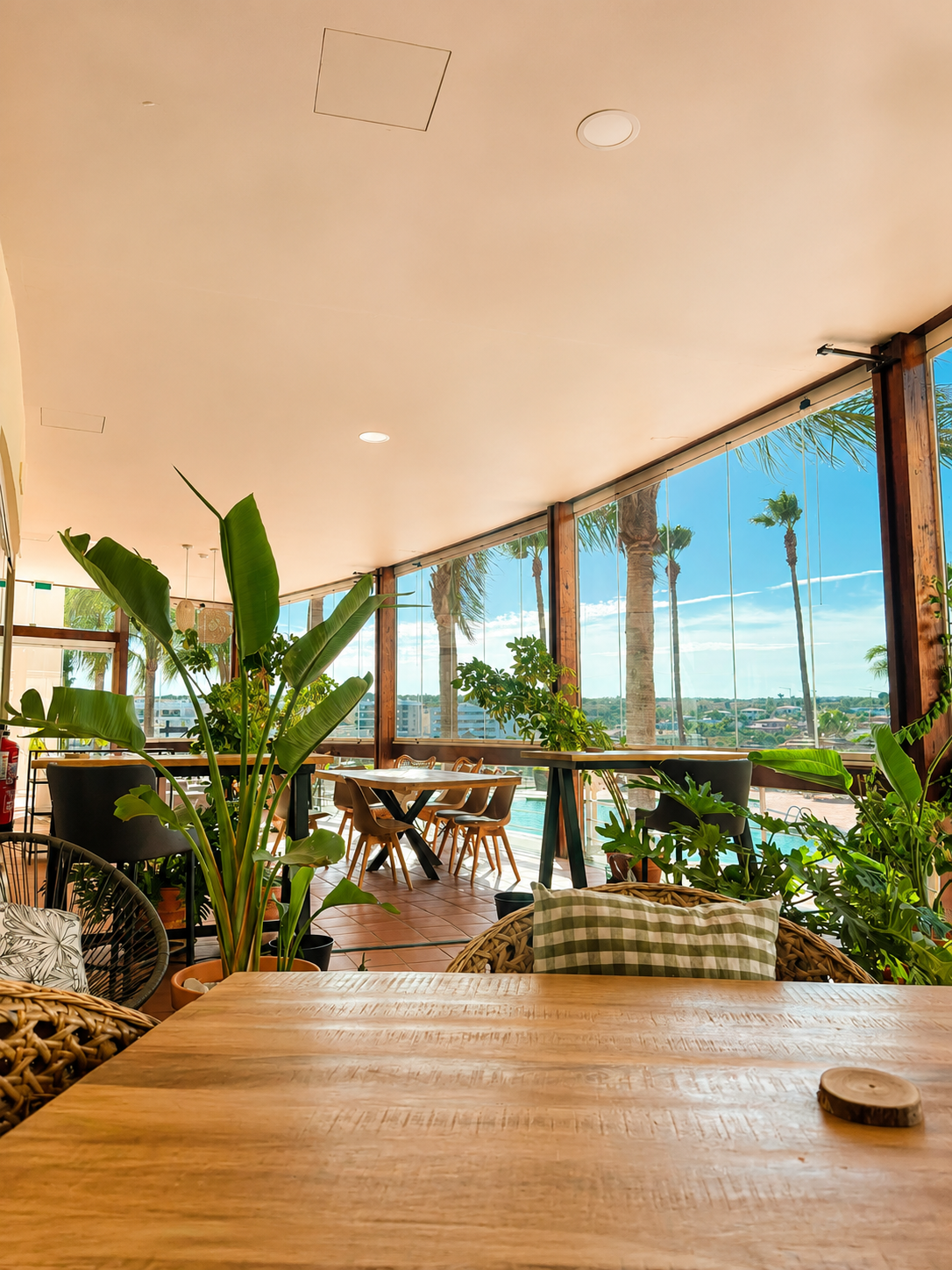 Plant-filled lounge with panoramic view over the pool and palm trees