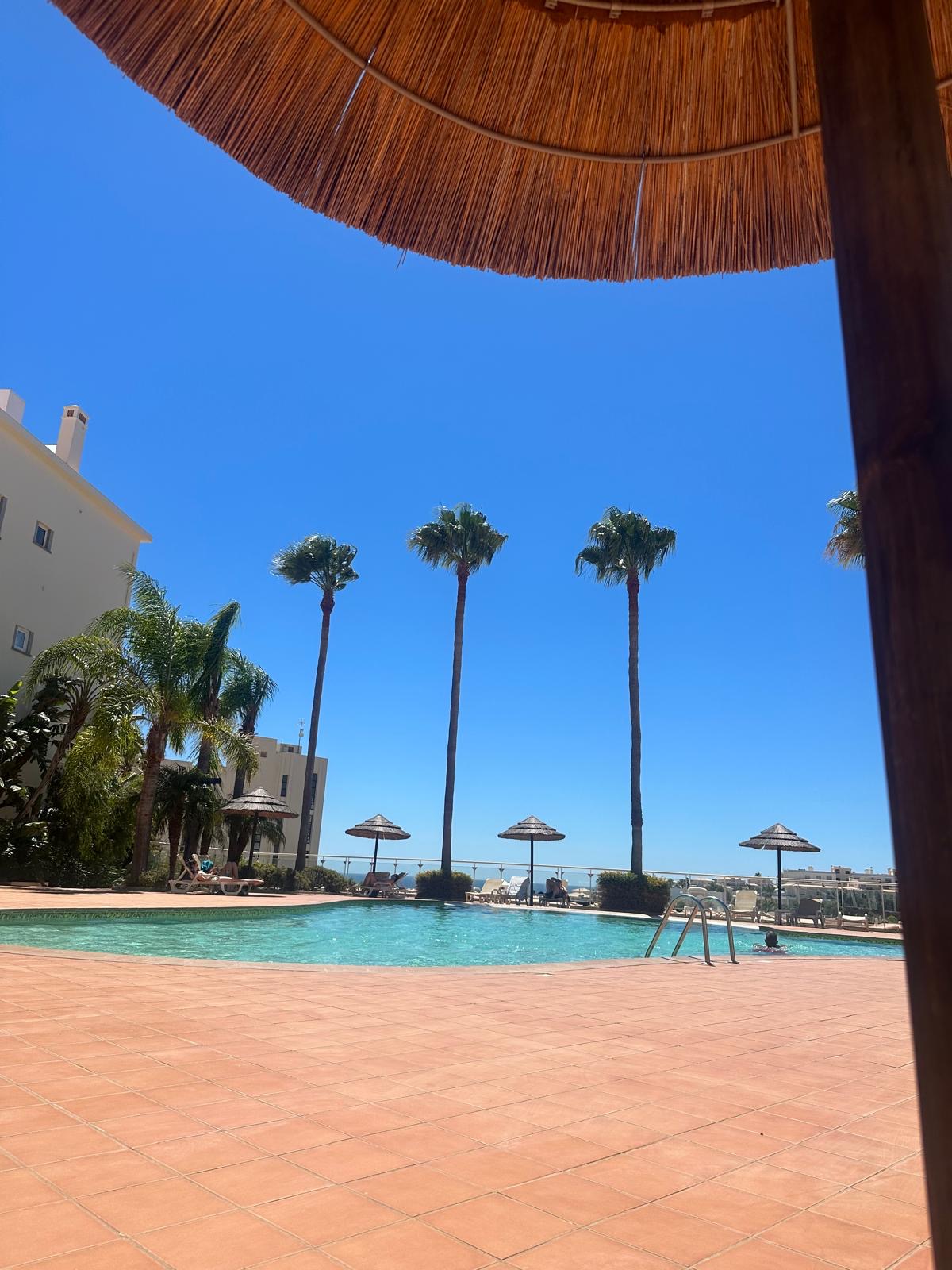 Swimming pool with tall palms and thatched parasols under a clear Algarve sky